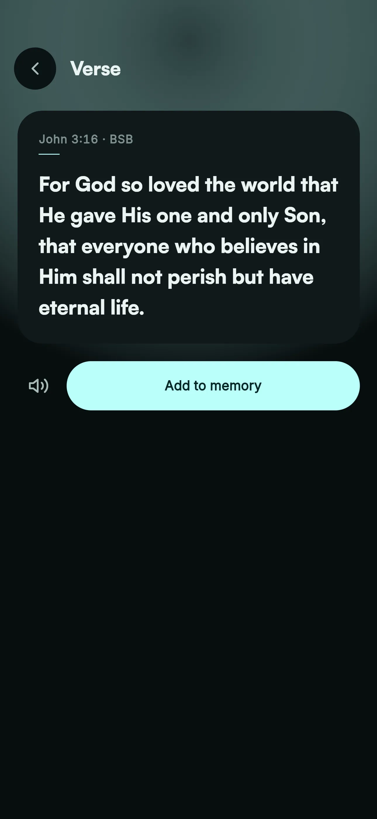 Engraved Any verse screen. Read it, hear it, add it to memory.